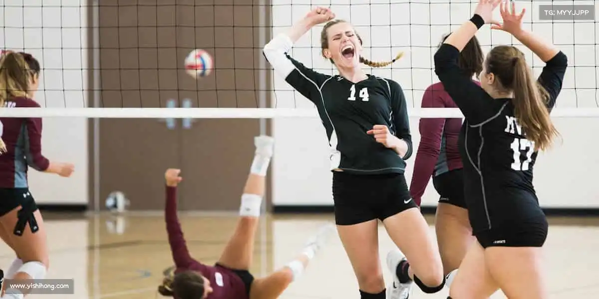 行业领先的理由